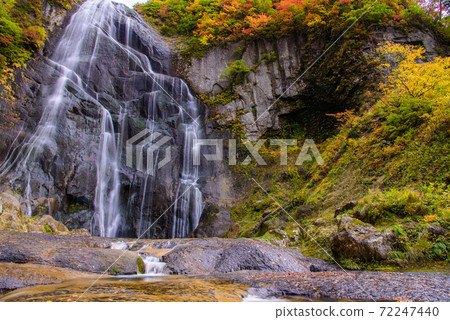 100 selections of waterfalls in Japan: Autumn leaves of Yasu no Taki 100 selections of waterfalls in Japan: Autumn leaves of Yasu no Taki 72247440