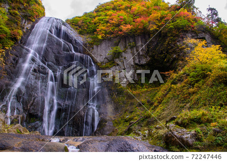 日本的100種瀑布：安諾瀑布的秋葉 72247446