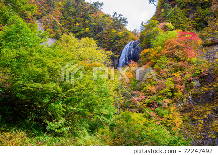 日本的100種瀑布：安諾瀑布的秋葉 72247492