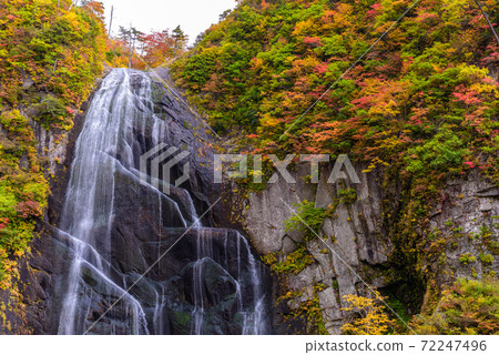 日本的100種瀑布：安諾瀑布的秋葉 72247496