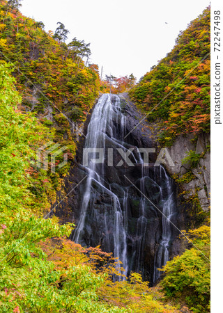 日本的100種瀑布：安諾瀑布的秋葉 72247498