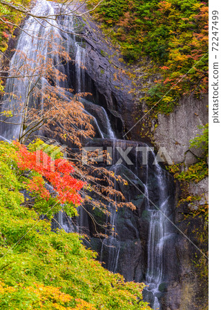 100 selections of waterfalls in Japan: Autumn leaves of Yasu no Taki 72247499