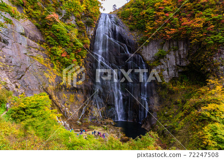 100 selections of waterfalls in Japan: Autumn leaves of Yasu no Taki 72247508