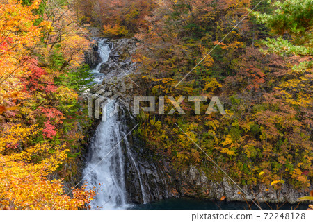 Autumn's Hakodate Falls 72248128
