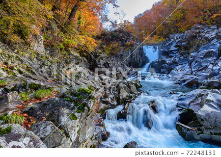 Autumn's Hakodate Falls 72248131