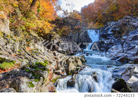 Autumn's Hakodate Falls 72248133