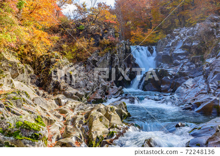 Autumn's Hakodate Falls 72248136