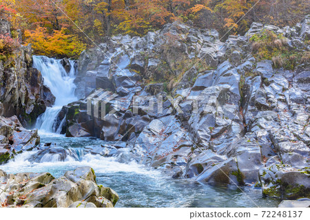 Autumn's Hakodate Falls 72248137