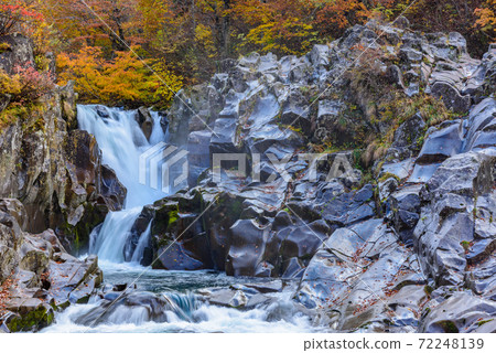Autumn's Hakodate Falls 72248139