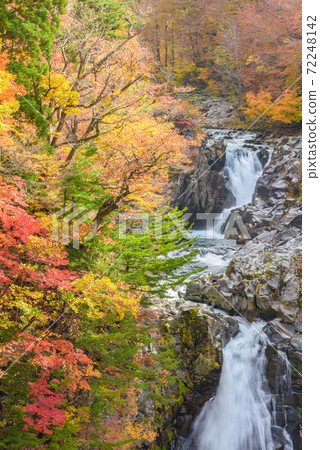 秋天的函館瀑布 72248142