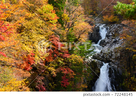 Autumn's Hakodate Falls Autumn's Hakodate Falls 72248145