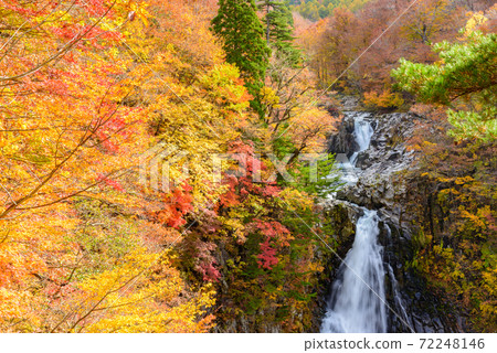 Autumn's Hakodate Falls 72248146