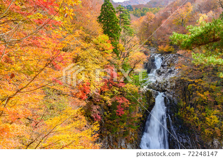 Autumn's Hakodate Falls 72248147