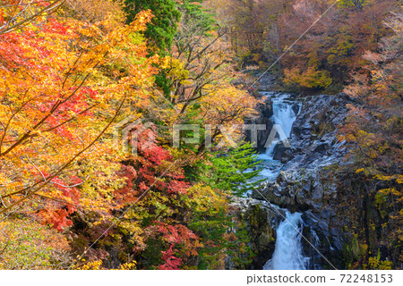 Autumn's Hakodate Falls 72248153