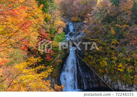 秋天的函館瀑布 72248155
