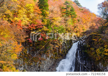 Autumn's Hakodate Falls 72248158