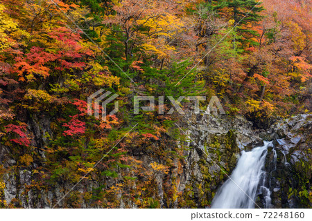 秋天的函館瀑布 72248160