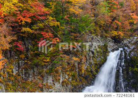 Autumn's Hakodate Falls 72248161