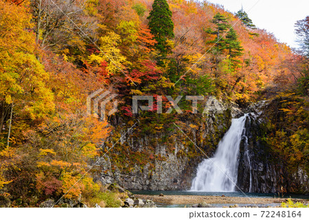 Autumn's Hakodate Falls 72248164
