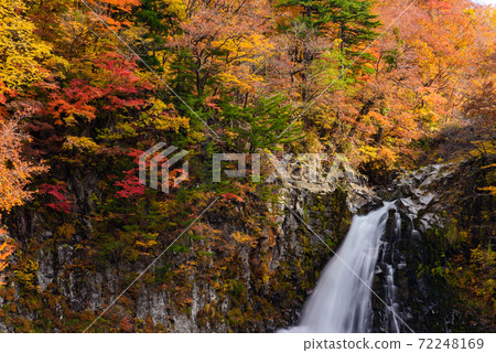 Autumn's Hakodate Falls 72248169