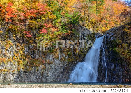 Autumn's Hakodate Falls 72248174