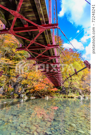 Suspension bridge of autumn leaves Suspension bridge of autumn leaves 72248241