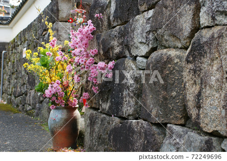 鳥取：四個季節的散步 72249696