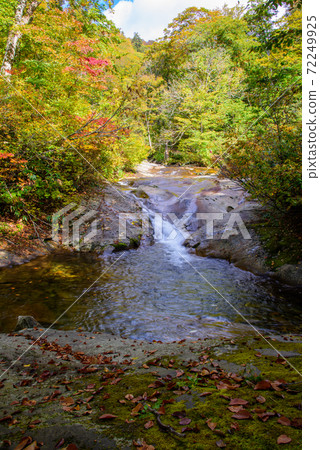 Autumn stream 72249925