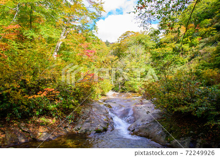Autumn stream Autumn stream 72249926