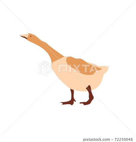 Vector image of a goose. Multi-colored segments. Agriculture. Vector illustration. 72250048