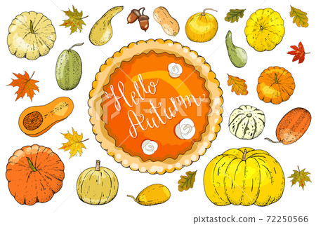 Set of autumn elements isolated on white... - Stock Illustration ...