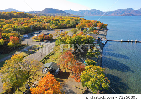 Aerial view of autumn leaves on the shore of Lake Kussharo 72250803