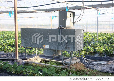 Strawberry carbon dioxide generator Strawberry carbon dioxide generator 72250838