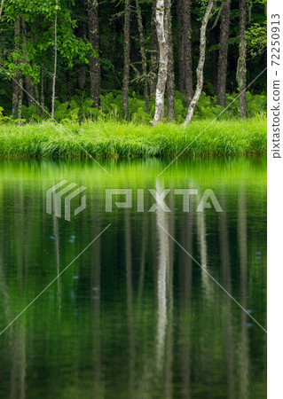 三池池的夏天 三池池的夏天 72250913