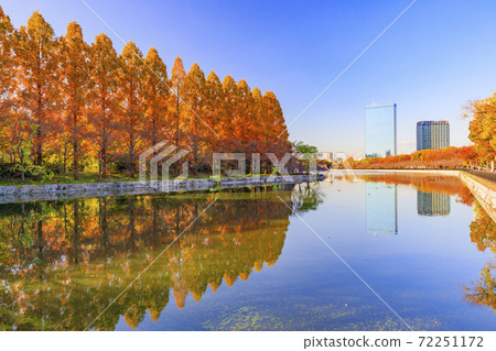秋天的葉子在大阪城公園 72251172