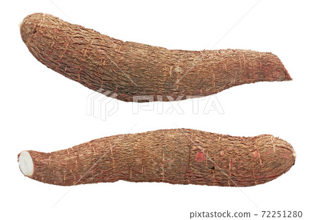 Cassava root isolated on white background 72251280
