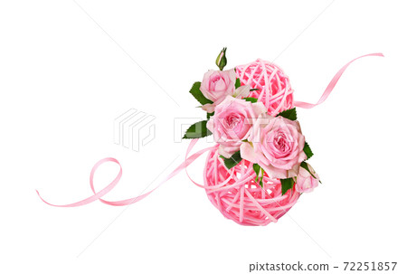 Dry pink rattan balls rose flowers and twisted satin ribbon in a festive arrangement for Woman day isolated on white Dry pink rattan balls rose flowers and twisted satin ribbon in a festive arrangement for Woman day isolated on white 72251857