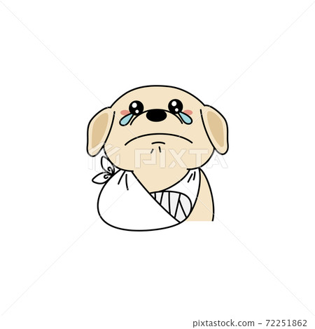 受傷的獵犬狗 72251862