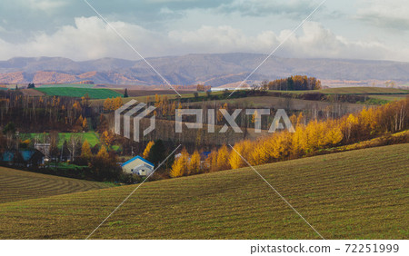 Biei no Oka Biei no Oka 72251999
