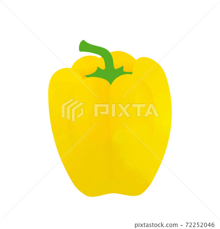 辣椒粉矢量插畫 72252046