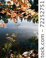 Autumn leaves and lake 72252751