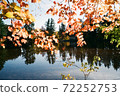 Autumn leaves and lake 72252753