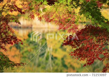 Beautiful autumn leaves picture frame Beautiful autumn leaves picture frame 72253097