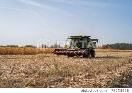 Harvesting ripe dry corn in the field with a green harvester Harvesting ripe dry corn in the field with a green harvester 72253968