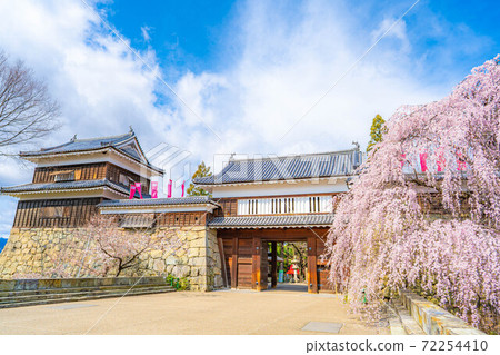 上田城的櫻花[長野縣] 72254410