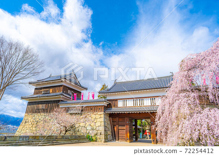 上田城的櫻花[長野縣] 72254412