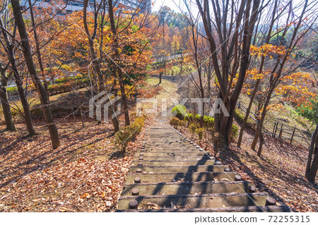 東京秋天自然公園 72255315