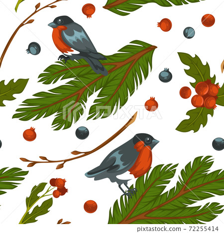 Bullfinch bird sitting on pine tree branch pattern Bullfinch bird sitting on pine tree branch pattern 72255414