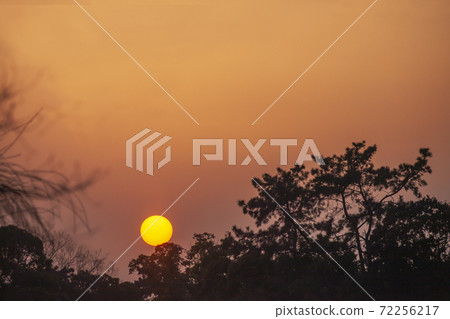 Winter scenery where you can take pictures of the sun and trees under the influence of the setting sun of Kisaragi and yellow sand 72256217
