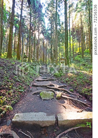 麻生太郎功率點熊野神社參拜 麻生太郎功率點熊野神社參拜 72256336